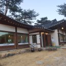 조가네갑오징어원주점 이미지