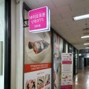 모든 바이오 | 둔산동다이어트 바이오포톤난희37도씨 풀코스 관리받은 후기