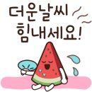 여름날의 고민 이미지