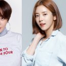 나르샤아트 이미지