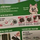 덴탈이유 이미지