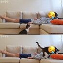 사갑목장 한국경제