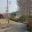 옥천풍경