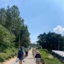 쌍정2리 | 화성시 송산면 쌍정1리 마을 한 바퀴 _ 포도를 곁들인 마을 체험