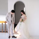 러블리 멍멍이 | 나의 결혼식, 서초 헤이허니 스튜디오 웨딩촬영후기 김우형이사님