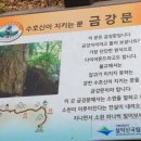 주문진티각태각 이미지
