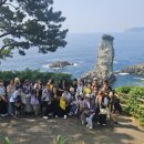 한류투어 이미지