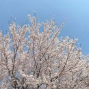 세븐일레븐 제주전농로점 이미지