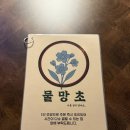 물망초 | 전주 웨리단길 신상 술집 ‘물망초’ 다녀온 후기 – 분위기, 안주, 재미 다 갖춘 인생술집!