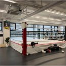 더헐크복싱 이미지