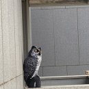 모슬포2호텔 이미지