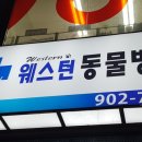 이솝동물병원 이미지