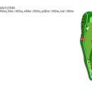 모나크cc 이미지