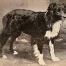 (주)블루디 이미지