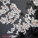 용하 이미지