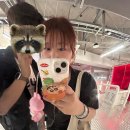 동희상회 | 제주도 🛫🗿🍊🏝️