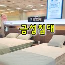 금성할인마트 이미지