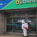 경북 금성농협춘산지점 경북일보