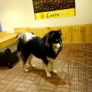 스마트심바이오 이미지