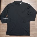 아크테릭스 이미지