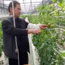 사매면 인화마을 이미지