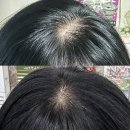 청담동 미용실 에이바이봄 고잉그레이 새치 커버 솜브레 하이라이트 염색 후기
