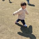열매2반 4월 2주 봄의 동식물을 만나요 🦋 이미지