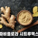 고산미디어주 | 파비플로라 효능 주목! 숨겨진 건강 비밀, 부작용 없이 섭취하는 꿀팁 총정리