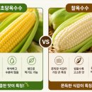 웰디렉터