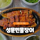 성문민물