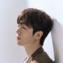 고벡스