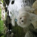 낙원펜션 이미지