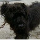 송촌축산 이미지