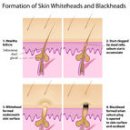 이성미베스트의원 이미지