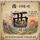 신문 속에 우리 동네 잇슈 | [손주와 함께 하는 한자어 놀이 25탄] 하루를 아름답게 채우는 결실의 빛, '서녘 서(西)'