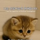 월드당구장 | 오션월드 호텔 소노벨 비발디파크 패밀리룸: +의무실 체험 후기