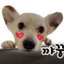 수연헤어 이미지