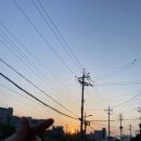 서울밥집 이미지