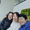 경남 고성군 그레이스 환상의 정원 력셔리 최고급 해이준 카페방문후기