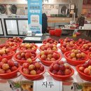 연아청과