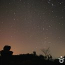 (주)대화관광