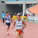 풀코스 Daum카페