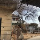 카페0218(cafe0218) 네이버블로그