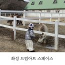 드림 스페이스 | 화성 속 작은 제주, 동물 먹이주기 체험 드림아트스페이스
