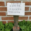 [일상] 6월은 .. 가정의 달?