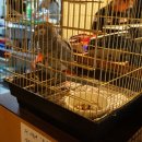 동호상회 이미지