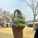 정영선수학 | 전시회 | 국립현대미술관 | 정영선: 이 땅에 숨 쉬는 모든 것을 위하여