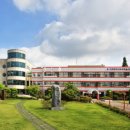 포도나무 작은도서관 이미지