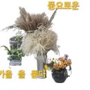 내 나이 일흔 즈음 에 이미지
