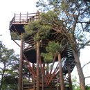 삼성암밑 | 도심 속의 상큼한 숲길, 북한산둘레길 흰구름길~삼성암 봄나들이 (빨래골에서 구름전망대, 화계사까지)